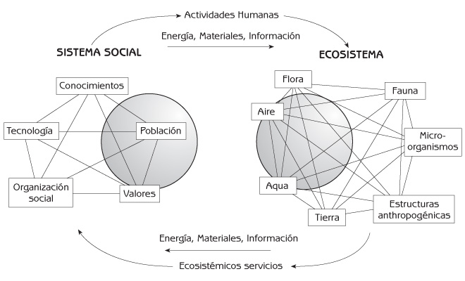 Figura 1.1 Interacción del sistema social humano y el ecosistema.