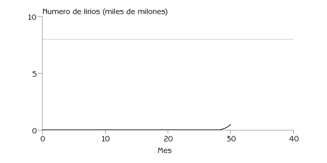 Figura 2.2 Población de jacinto después de 30 meses.