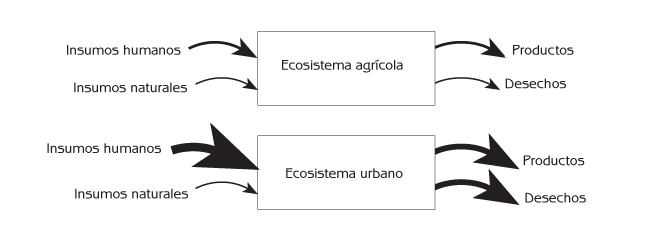 Figura 5.3 Insumos y egresos de materiales, energía e información para ecosistemas agrícolas y urbanos.