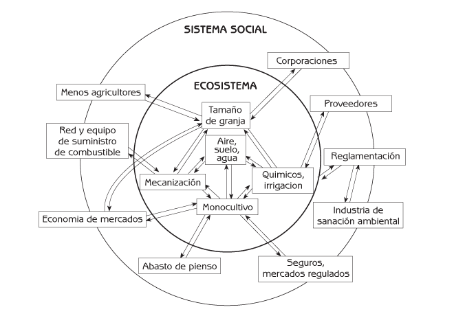 Figura 7.3 Interrelación del sistema social con ecosistemas agrícolas tras la Revolución Industrial.