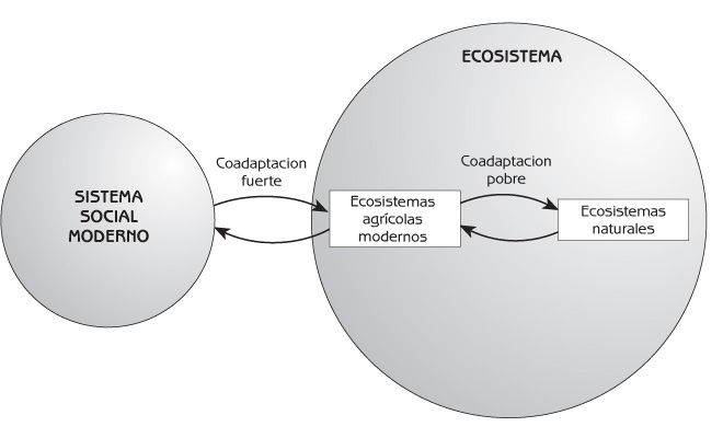 Figura 7.4 Coadaptación de los sistemas sociales modernos y ecosistemas.