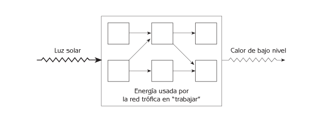 Figura 8.4 Flujo de energía a través de la red trófica de un ecosistema.