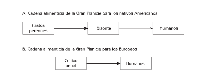 Figura 10.2 Cadena alimenticia para la gente de la Gran Planicie antes y después de la invasión Europea de Norteamérica.