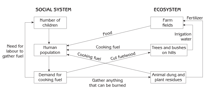 Figure 1.4 - Deforestation and cooking fuel (chain of effects through ecosystem and social system)