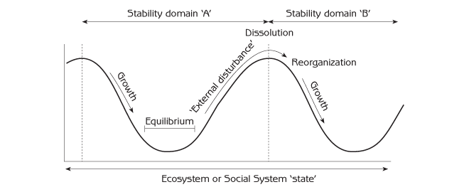 Figure 4.6 - Complex system cycles from the perspective of stability domains