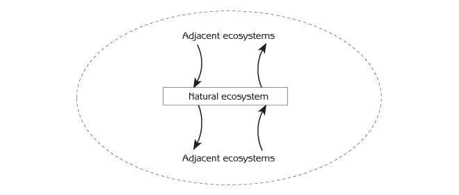 Figure 5.2 - Input-output exchanges of materials, energy and information between adjacent ecosystems