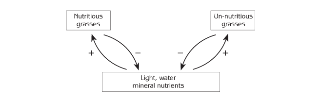 Figure 6.5 - Competition between grasses that are nutritious or not nutritious for sunlight, water and mineral nutrients