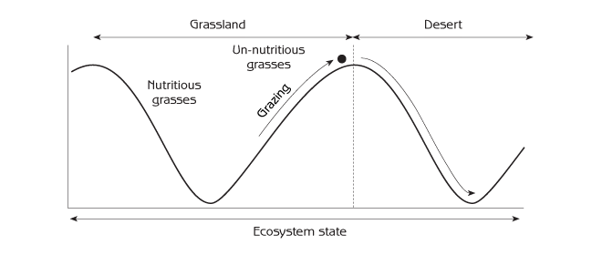 Figure 6.6 - Human-induced succession from grassland to desert caused by overgrazing