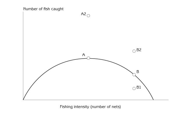 Figure 10.3 - The response of fish catches to fishing intensity as an example of tragedy of the commons A All fishermen use fewer nets to achieve a high sustainable catch. B All fishermen use more nets. Everyone catches less because overfishing reduces the fish population. A2 One fisherman uses twice as many nets when all the other fishermen use fewer nets for a high sustainable catch. B1 One fisherman uses fewer nets when other fishermen are overfishing. B2 One fisherman uses twice as many nets as fishermen who are overfishing.