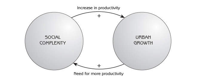 Figure 10.4 - Positive feedback loop between social complexity and the growth of cities