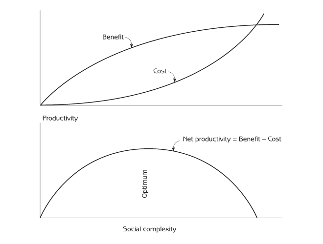 Figure 10.5 - Benefits and costs of social complexity