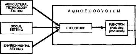 Figure 1 - Some basic definitions for agroecosystem assessment.