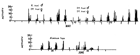 Figure 3 - Hourly counts from transmitters (top) and aluminum tape (bottom) in California chaparral (1969). The bars above the tics give the counts between 11 PM and midnight (Daylight Saving Time). The vertical arrows give the time of moon rise (pointing up) or moonset (pointing down). Sunrise times were about 6:15 AM (top) and 7:00 AM (bottom); sunset times were about 8:10 PM (top) and 8:50 PM (bottom).