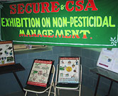 Posters showing how to prepare and apply chili-garlic and polyhedral virus solutions at a SECURE exhibit on Non-Pesticide Management.