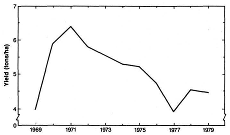 Figure 7 - Increase in rice yields due to modern technology (1969—1971) followed by decline under triple cropping (1971—1979).16 These figures are from the Multiple Cropping Project experiment station at Chiangmai University; the same changes occurred on farmers' fields.