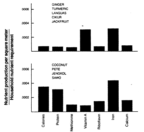 Figure 6. Annual nutrient production from upland field constellations in West Java. Jengkol (Pithecellobium lobatum) is a medicinal plant. English, local and Latin names of other crops are listed in Table 3.