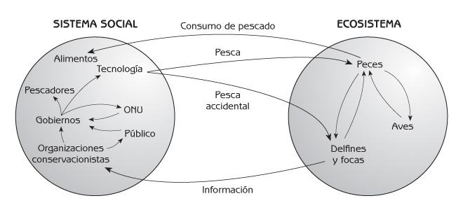 Figura 1.2 Cadena de efectos a través del ecosistema y el sistema social (pesca comercial oceánica).