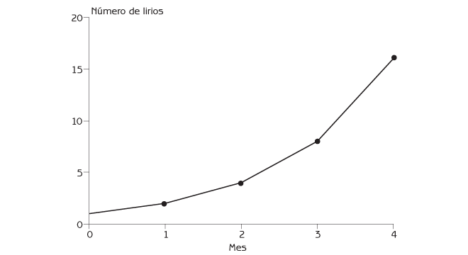 Figura 2.1 Crecimiento de la población de jacinto acuático durante los primeros 4 meses después de la introducción de un solo lirio a un lago. 