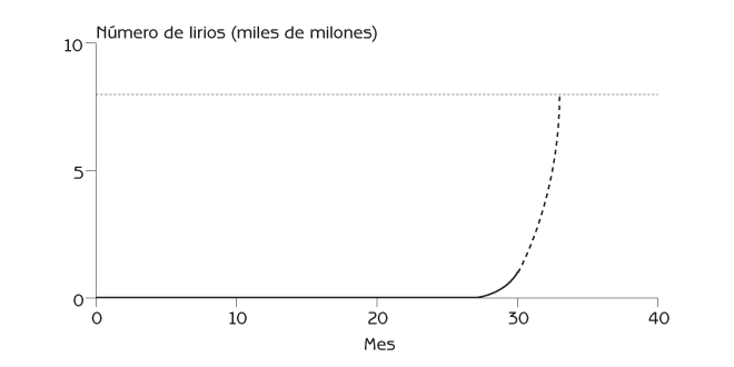 Figura 2.3 Crecimiento exponencial de la población de jacinto acuático. 