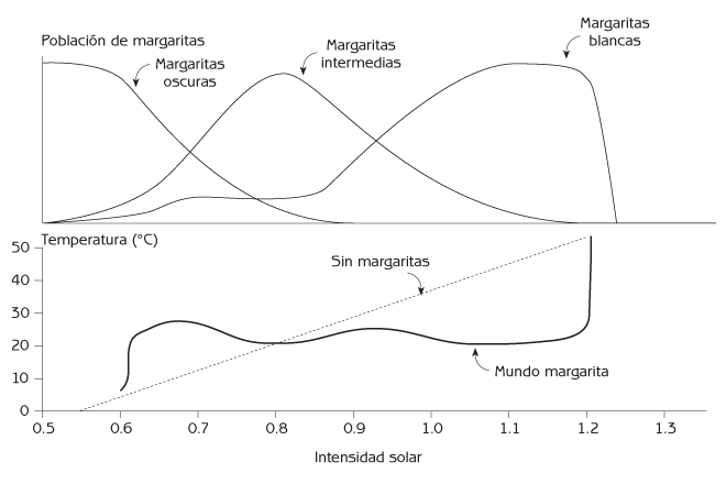 Figura 5.1 Cambio en las poblaciones de margaritas que mantienen la temperatura constante del Mundo Margarita dentro de un amplio rango de intensidad solar. Fuente: Adaptado de Lovelock, J (1979) Gaia: A New Look at Life on Earth.