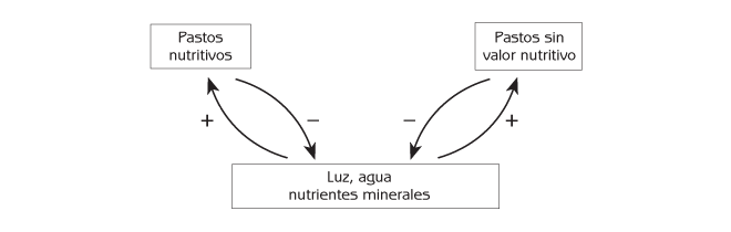 Figura 6.5 La competencia por luz, agua y minerales entre pastos nutritivos y no-nutritivos.