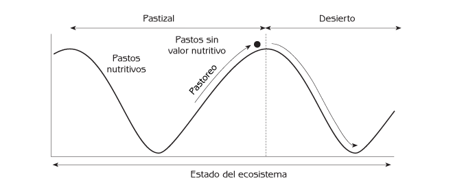 Figura 6.6 Sucesión antropogénica de pastizal a desierto debida al sobrepastoreo.
