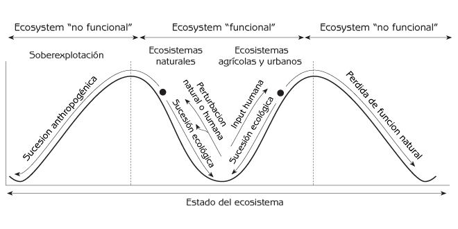 Figura 6.8 El principio ‘funcional/no funcional’ de sucesión antropogénica.