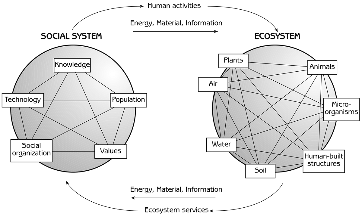 Figure 1.1 - Interaction of the human social system with the ecosystem