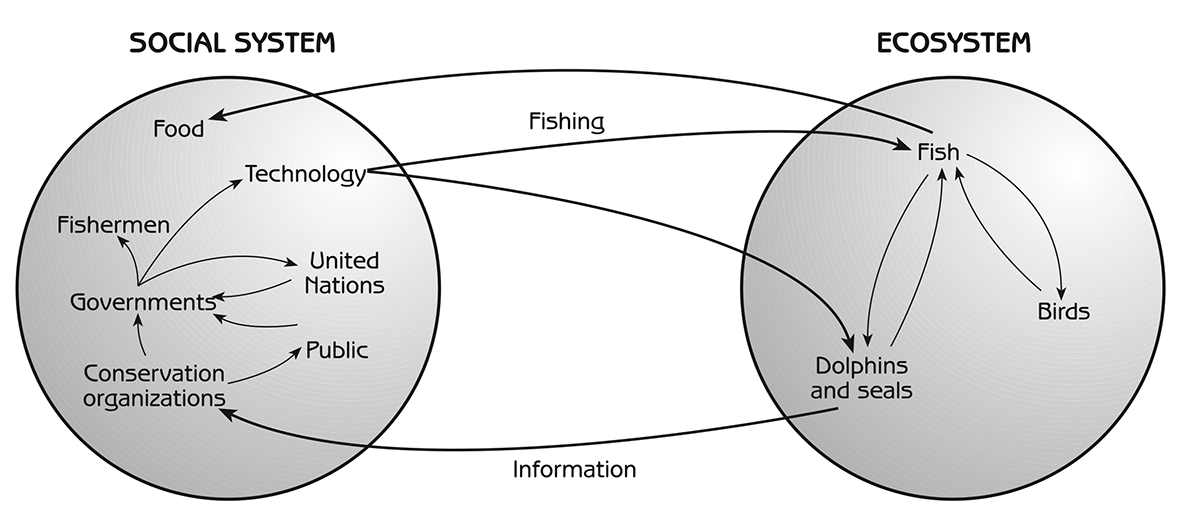 Figure 1.2 - Chain of effects through ecosystem and social system (commercial fishing in the ocean)