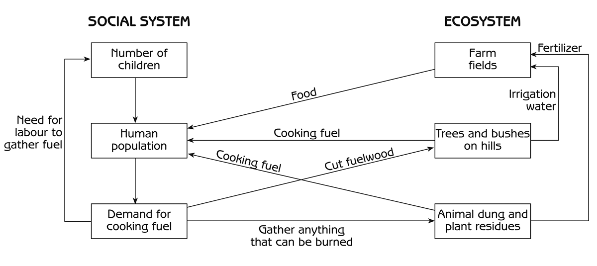Figure 1.4 - Deforestation and cooking fuel (chain of effects through ecosystem and social system)