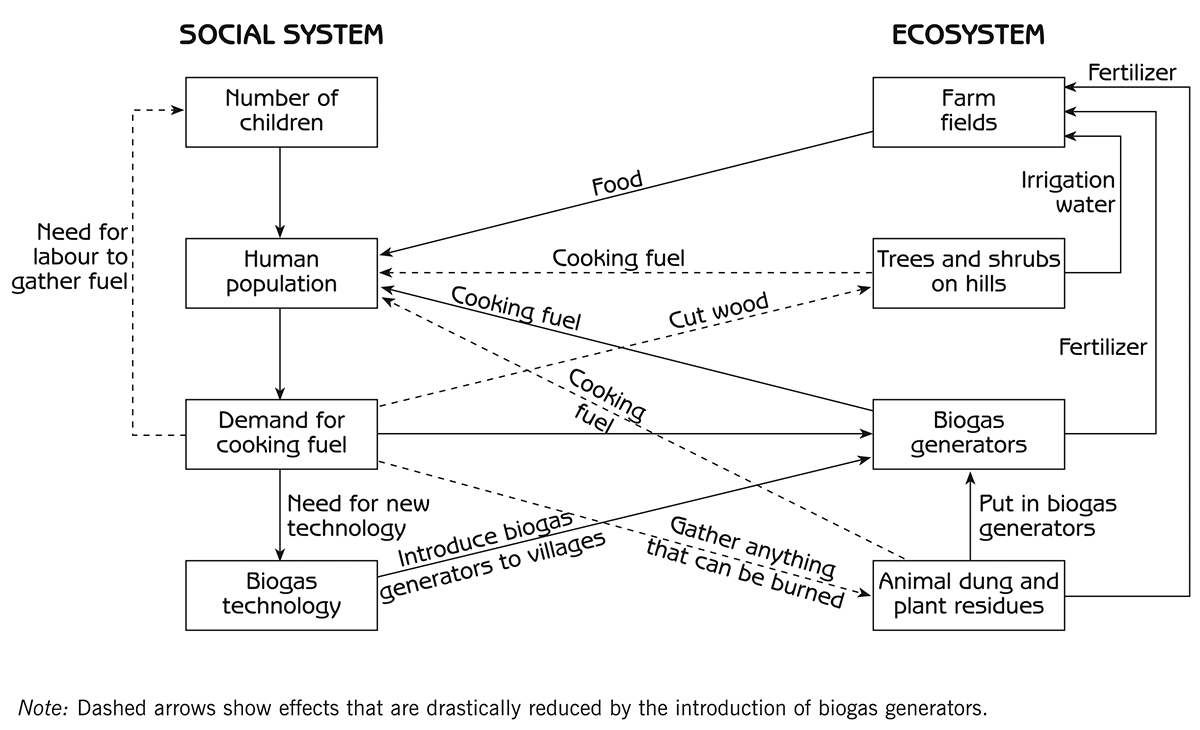 Figure 1.5 - Chain of effects through social system and ecosystem when biofuel generators are introduced to villages