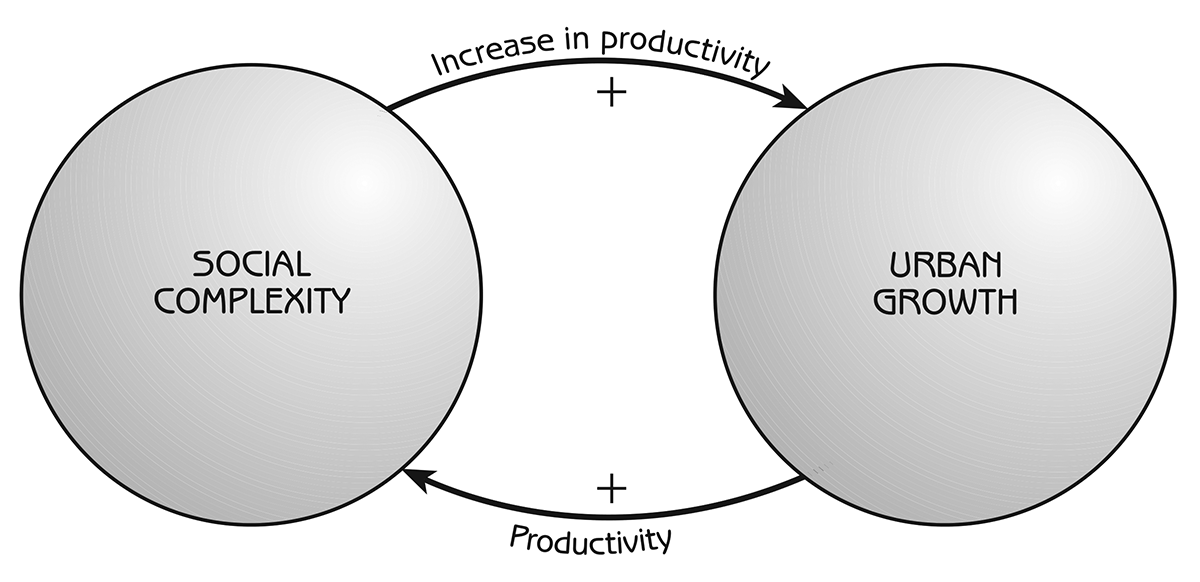 Figure 10.4 - Positive feedback loop between social complexity and the growth of cities