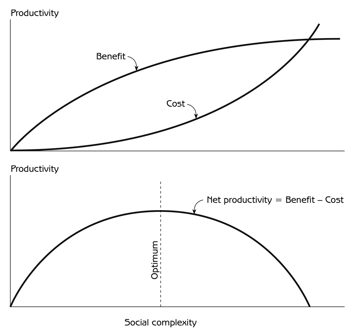 Figure 10.5 - Benefits and costs of social complexity