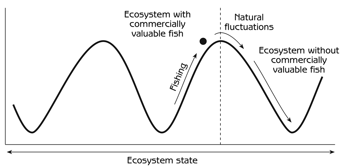Figure 10.7 - Change from one stability domain to another when fishing is too close to the boundary between stability domains in a fisheries ecosystem with natural climatic fluctuations