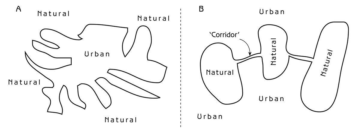 Figure 11.2 - Landscape mosaics of urban and natural ecosystems