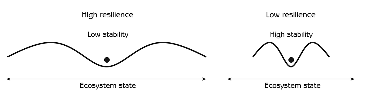 Figure 11.3 - Stability domain diagrams comparing high and low resilience