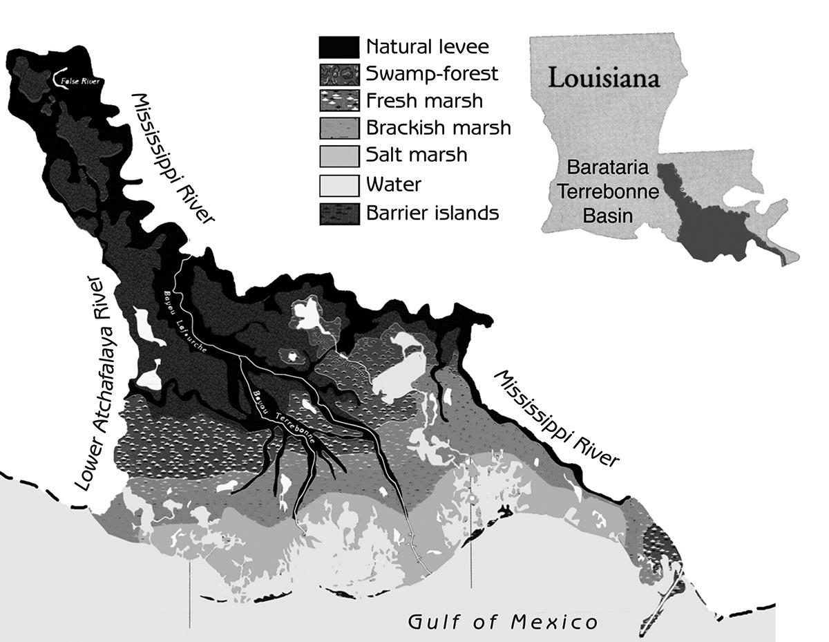 Figure 12.2 - Barataria-Terrebonne estuary Source: BTNEP (1995) Saving Our Good Earth: A Call to Action. Barataria- Terrebonne estuarine system characterization report, Barataria-Terrebonne National Estuary Program, Thibodaux, Louisiana