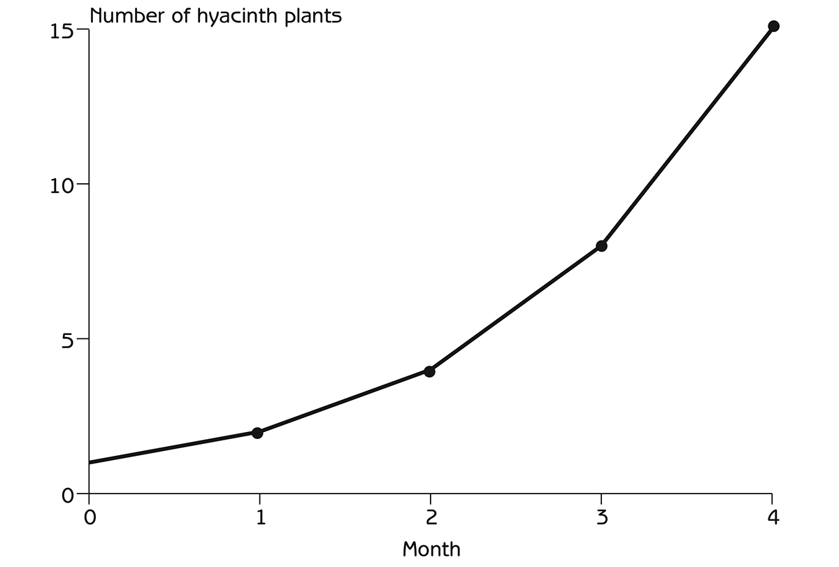 Figure 2.1 - Growth in the water hyacinth population during the first four months after introducing a single hyacinth to a lake