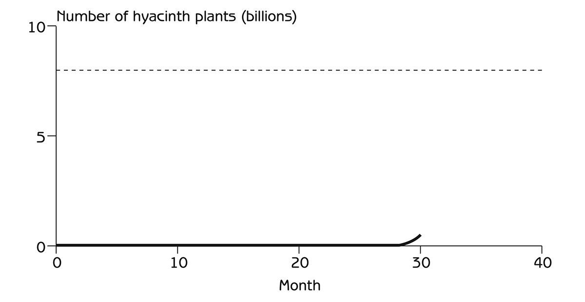 Figure 2.2 - Water hyacinth population after 30 months