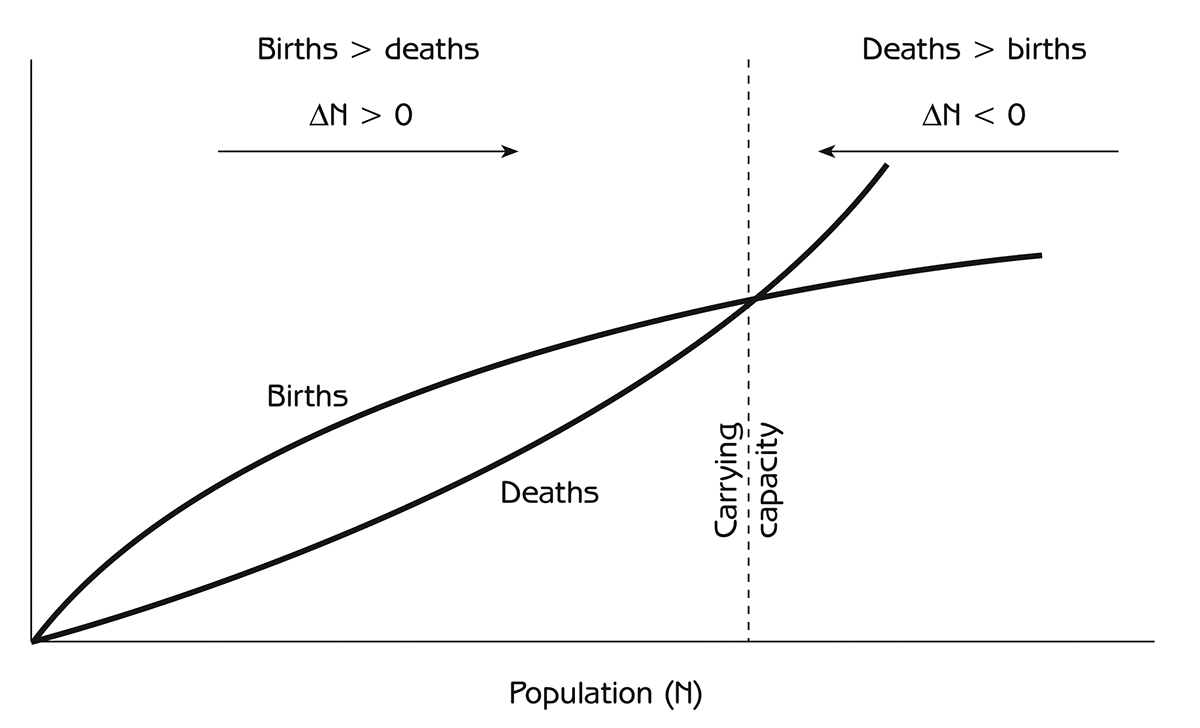 Figure 2.9 - The relation of population change to carrying capacity N = population number ?N = the change in population number ?N = [total number of births in the population] - [total number of deaths in the population] When births > deaths, then ?N>0, and the population number increases. When deaths>births, then ?N<0, and the population decreases.