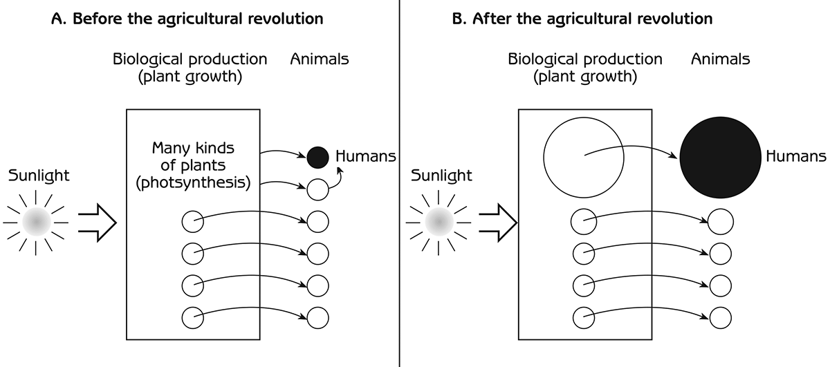 Figure 3.1 - Distribution of biological production among plants and animals in the ecosystem food web