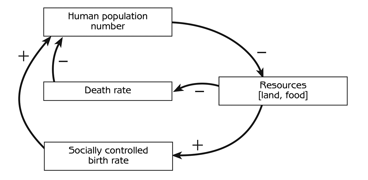 Figure 3.9 - Negative feedback loops for social control of human population