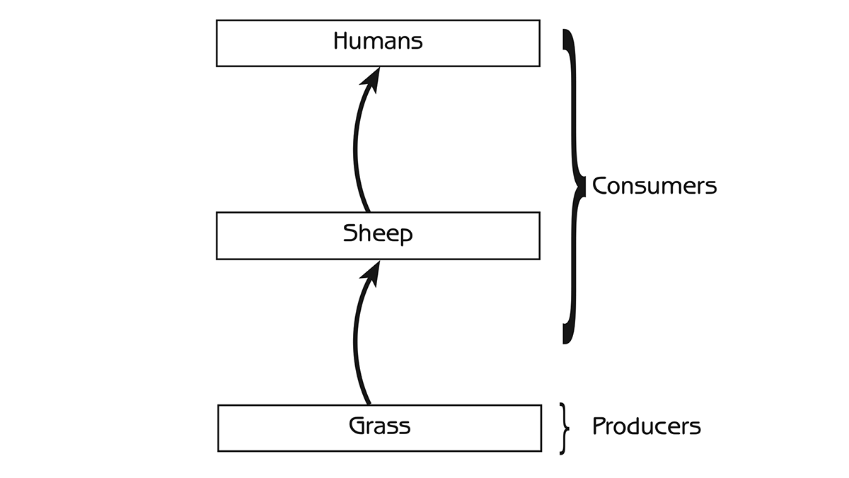 Figure 4.1 - Initial food chain in the island story