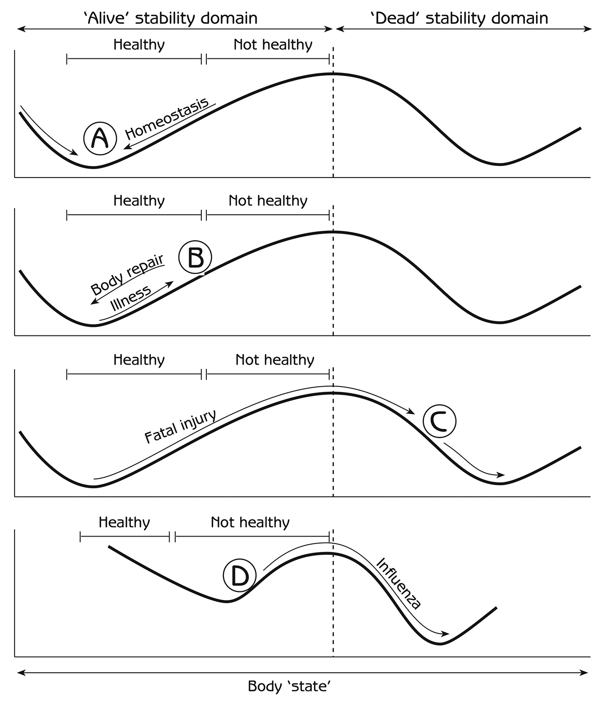 Figure 4.3 - Body state of 'alive' and 'dead' to illustrate stability domains