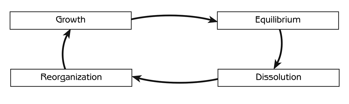 Figure 4.5 - The complex system cycle