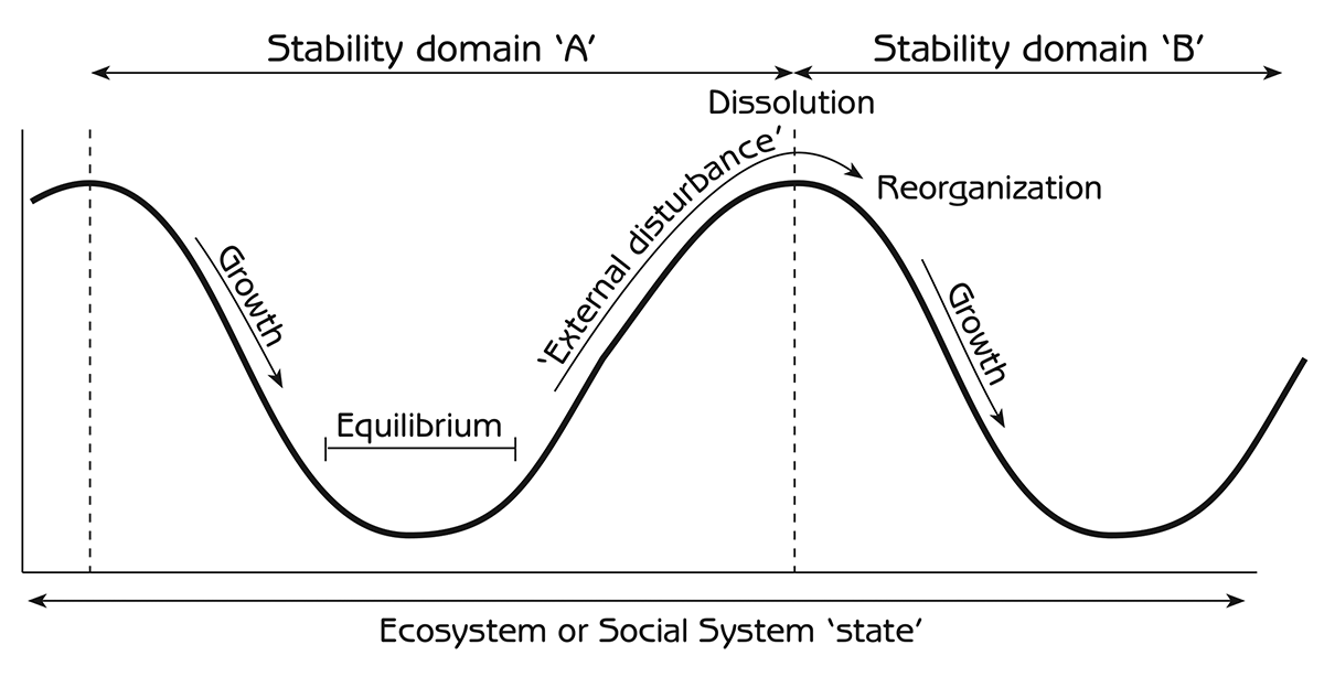 Figure 4.6 - Complex system cycles from the perspective of stability domains