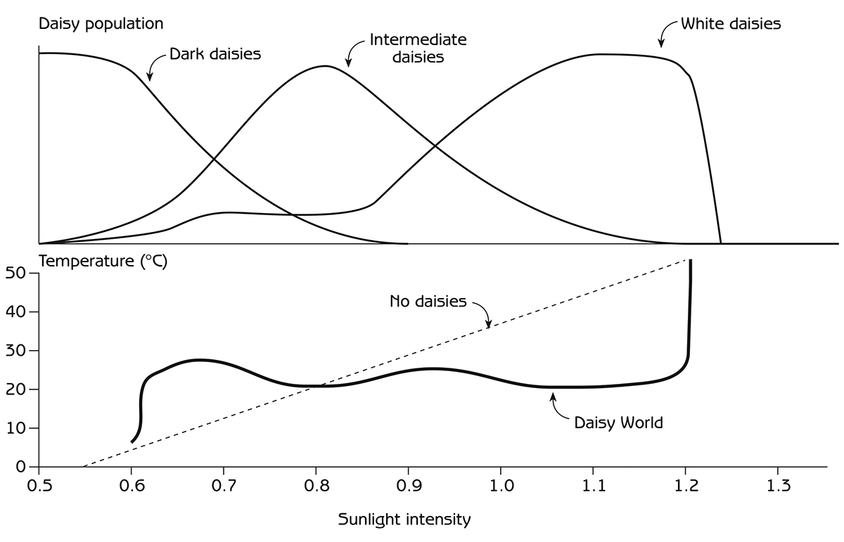 Figure 5.1 - Change in daisy populations that keeps the temperature of Daisy World the same over a broad range of sunlight intensities Source: Adapted from Lovelock, J (1979) Gaia: A New Look at Life on Earth, Oxford University Press, Oxford