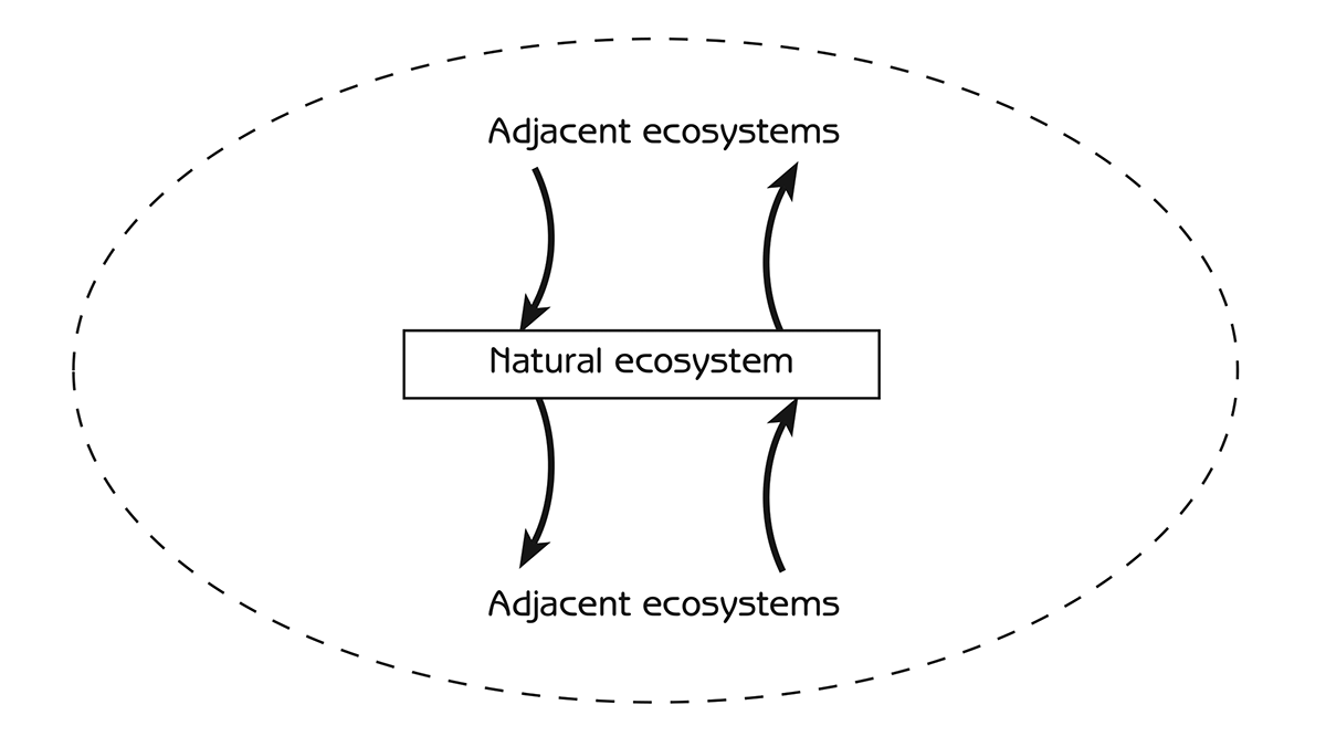 Figure 5.2 - Input-output exchanges of materials, energy and information between adjacent ecosystems