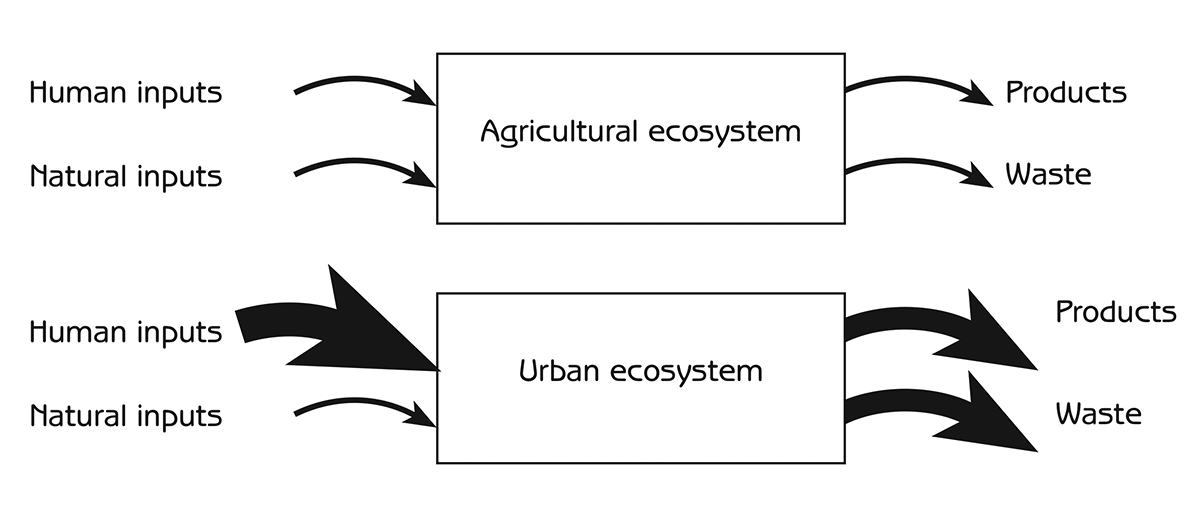 Figure 5.3 - Inputs and outputs of materials, energy and information with agricultural and urban ecosystems
