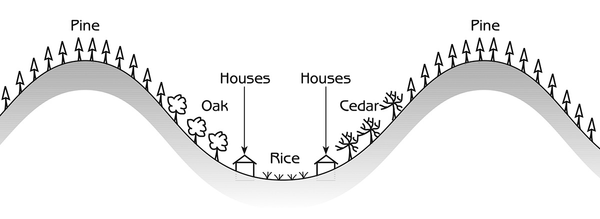 Figure 5.7 - Typical landscape profile in western Japan